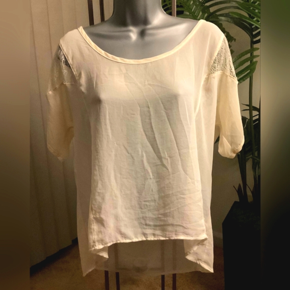 Blue Sky Beautiful Sheer Blouse In Cream